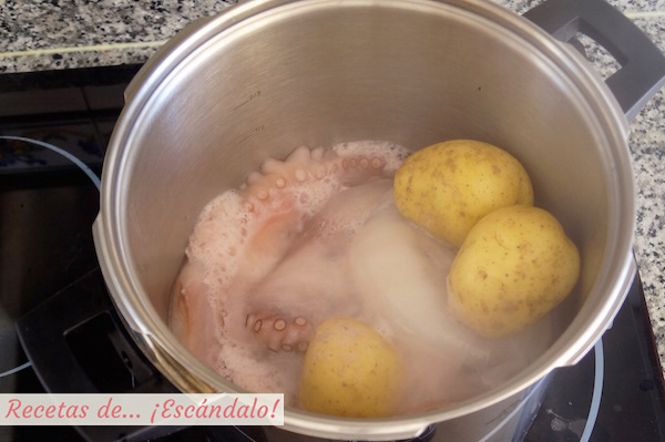 Coccion del pulpo a la gallega o pulpo a feira