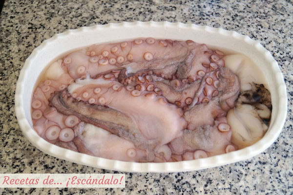 Pulpo fresco