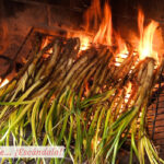 Calçots