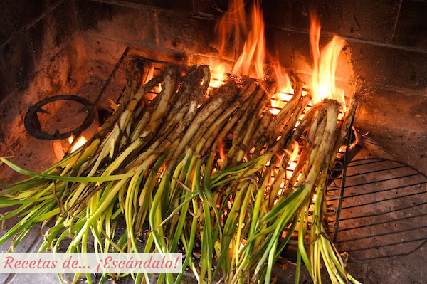 Calçots o calsots con su salsa romesco