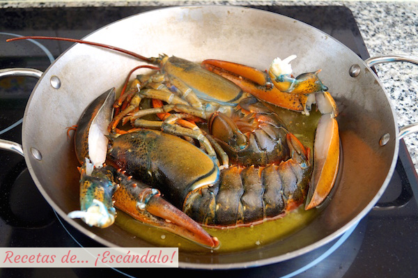 Bogavante dorado