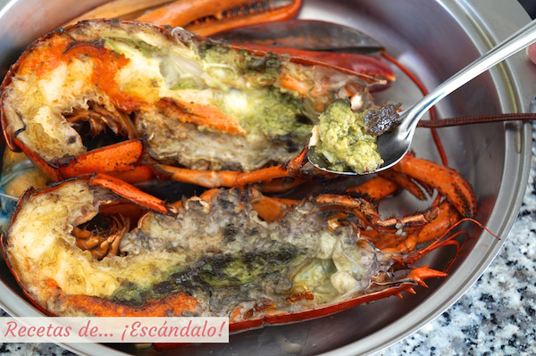 Coral del bogavante