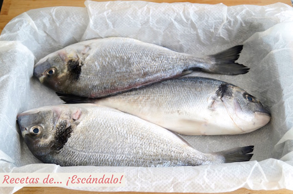 Doradas frescas