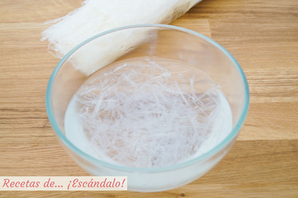 Alga agar agar