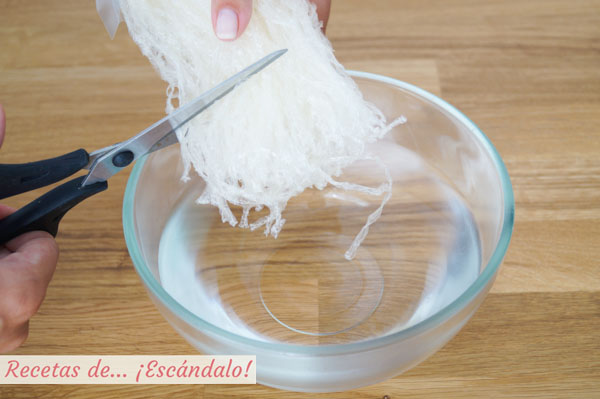 Algas agar agar