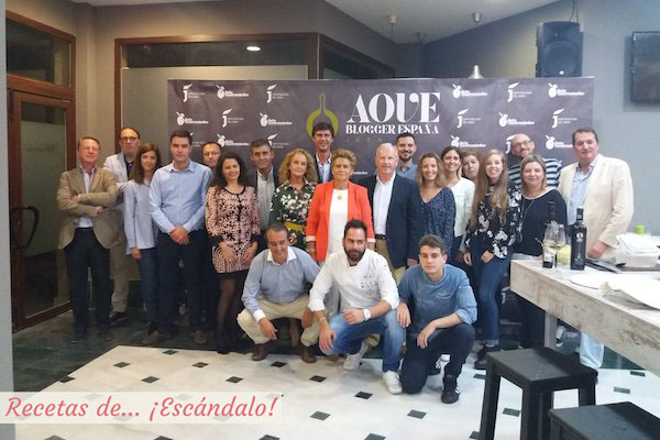 AOVE Blogger 2017