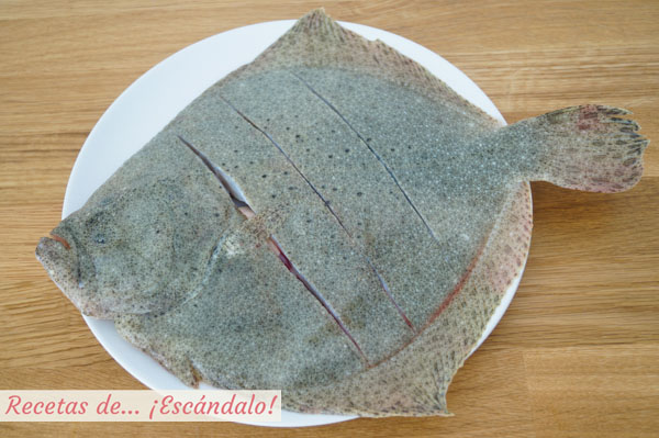 Rodaballo fresco