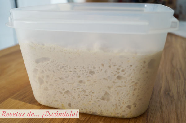 Masa de pan fermentada