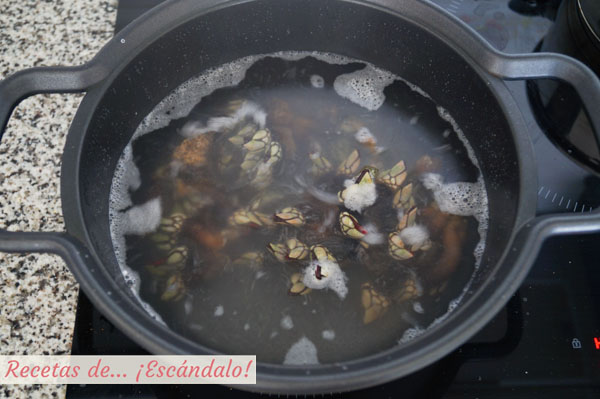 Como cocer percebes