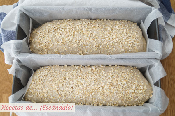 Pan de avena