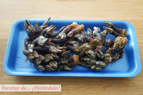 Percebes gallegos