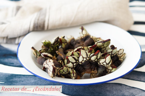 Receta de como cocer percebes para que te queden perfectos
