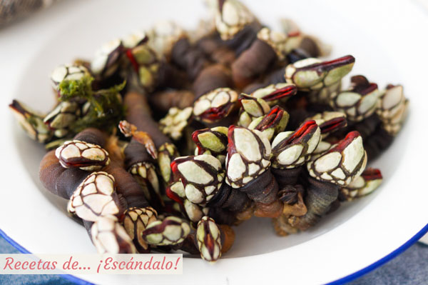 Tiempo de coccion de los percebes y como se comen