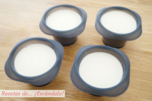 Moldes para panacota o panna cotta