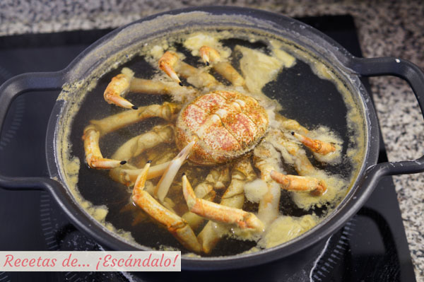 Centolla cocida