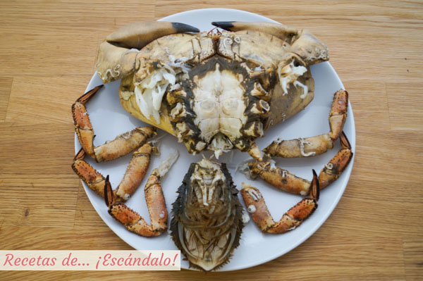 Buey de mar cocido y preparado
