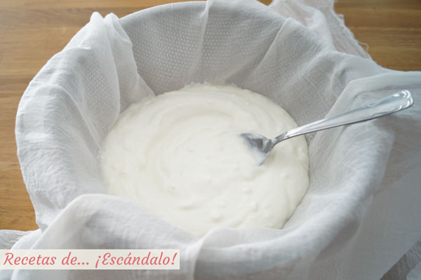 Queso de yogur