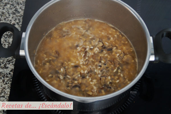 Receta de risotto de champinones, delicioso y sencillo