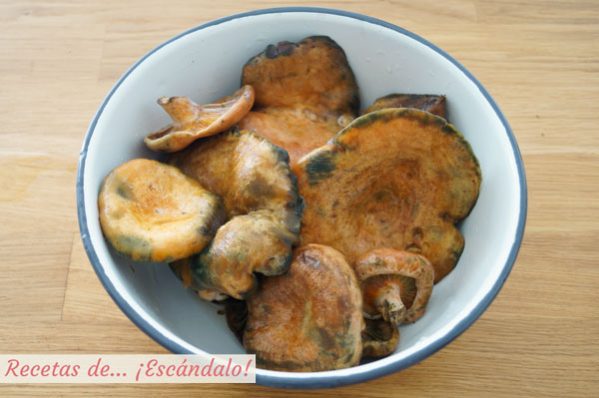 Niscalos, rebollones, robellones o guiscanos