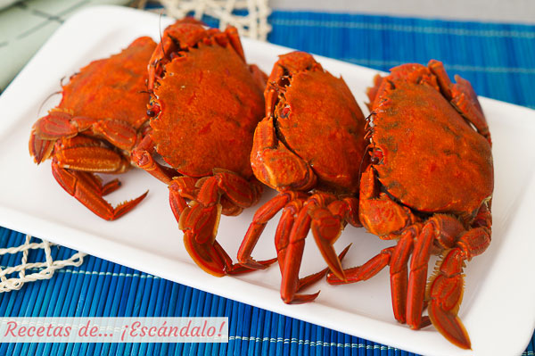 Necoras cocidas