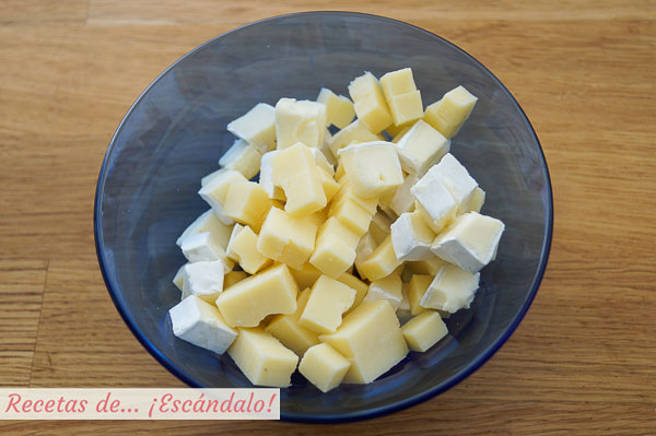 Quesos para salsa de queso