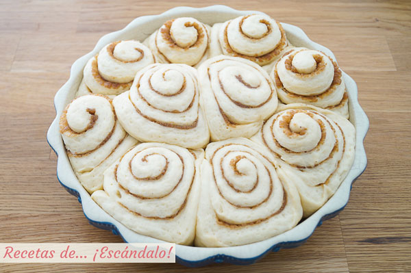 Fermentacion rollos de canela o cinnamon rolls