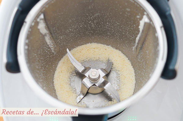 Queso parmesano en polvo