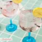 Gin Tonic