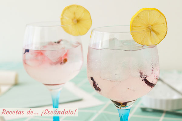 Receta y consejos para preparar el mejor gin tonic