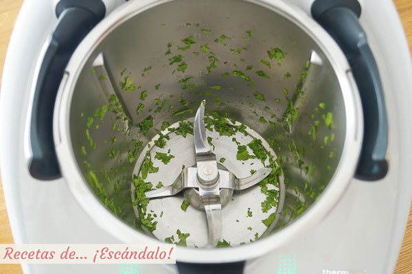 Cilantro picado thermomix