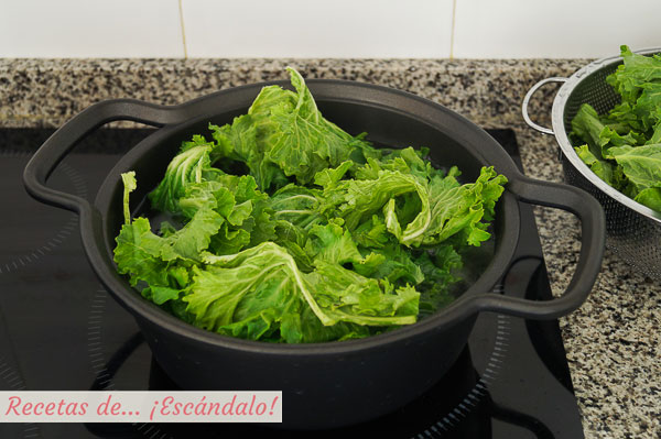 Berza para caldo gallego