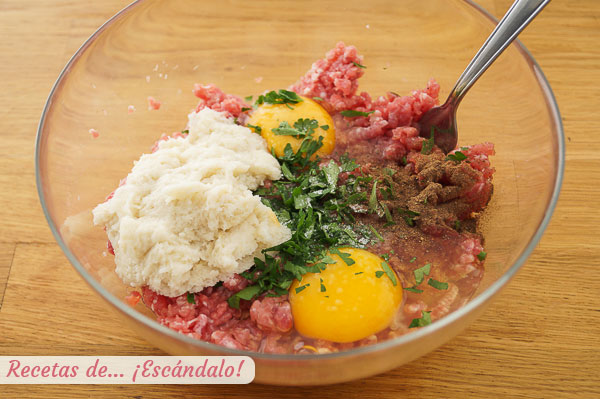 Ingredientes pilota