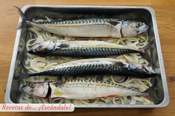 Receta de caballa al horno