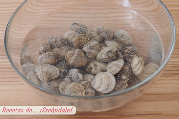 Almejas frescas