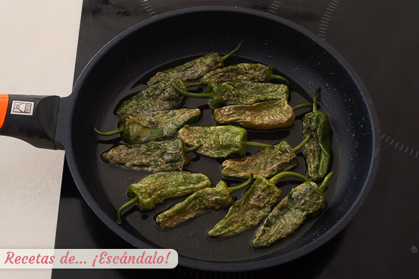Pimientos de padron fritos raxo gallego