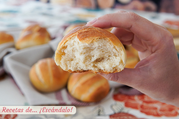 Receta de pan de leche casero, tierno y delicioso muy facil
