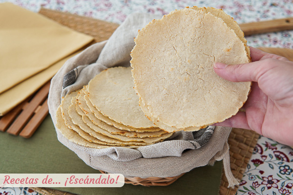 Receta de tortillas de maiz mexicanas para tacos, quesadillas