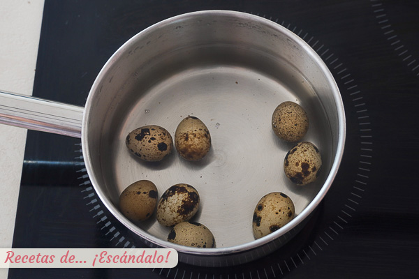 Tiempo cocer huevos de codorniz