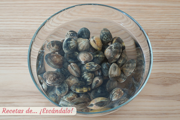 Almejas frescas