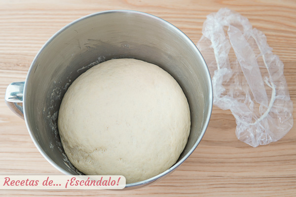 Masa pan indio naan fermentada