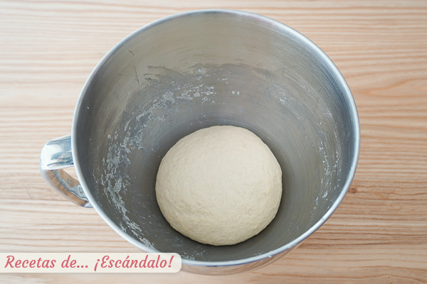 Masa pan naan indio