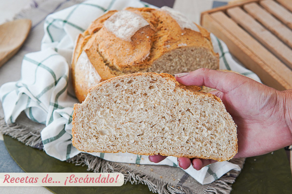 Receta de pan rapido en Thermomix, fantastico y listo en tiempo record