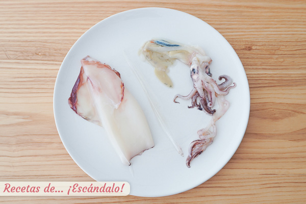 Partes calamares