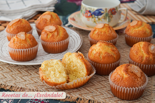 Las mejores magdalenas con Thermomix, esponjosas y caseras
