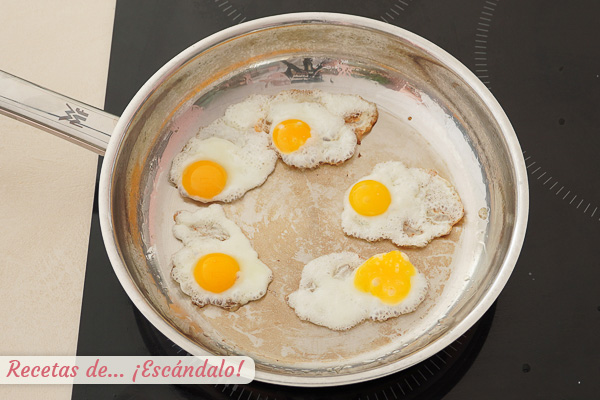 Huevos de codorniz a la plancha